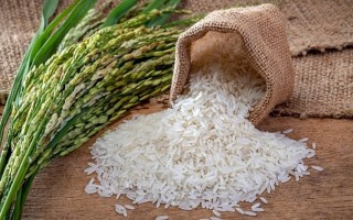 Giá lúa gạo hôm nay ngày 30/11: Đầu tuần, giá lúa gạo tăng nhẹ